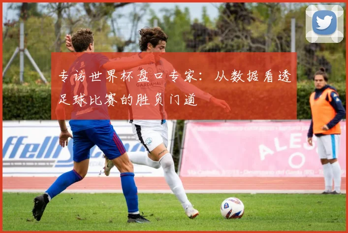 专访世界杯盘口专家：从数据看透足球比赛的胜负门道