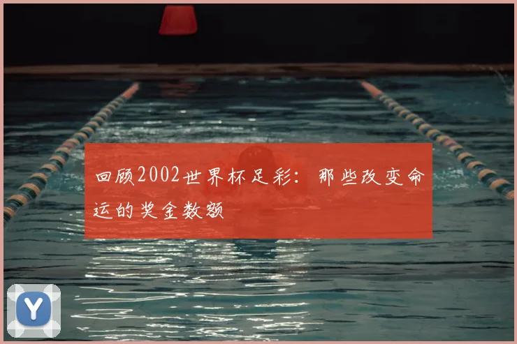 回顾2002世界杯足彩：那些改变命运的奖金数额