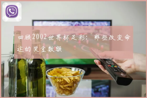 回顾2002世界杯足彩:那些改变命运的奖金数额
