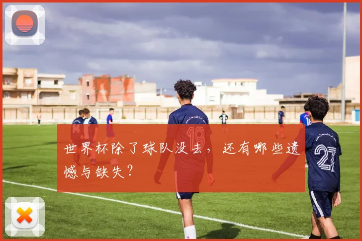 世界杯除了球队没去，还有哪些遗憾与缺失？