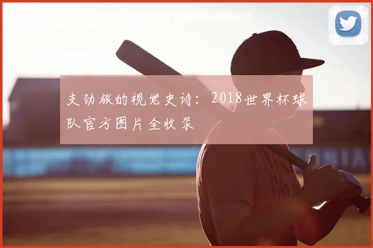 支劲旅的视觉史诗：2018世界杯球队官方图片全收录