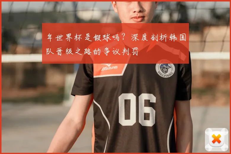 年世界杯是假球吗？深度剖析韩国队晋级之路的争议判罚