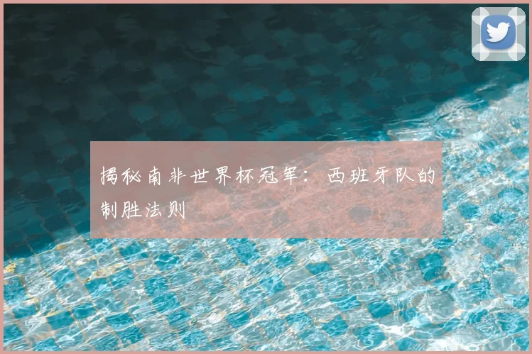 揭秘南非世界杯冠军:西班牙队的制胜法则