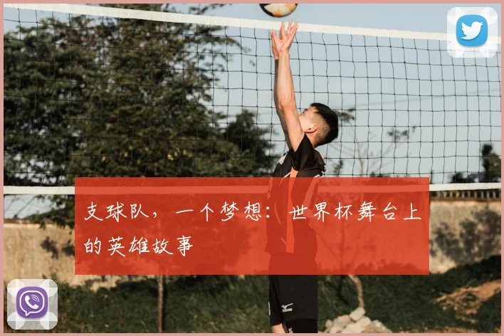 支球队，一个梦想：世界杯舞台上的英雄故事
